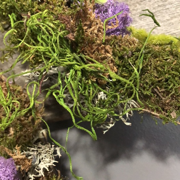 Straw spring wreaths 🍄 mushroom moss cottage core succulents bird - Picture 9 of 14